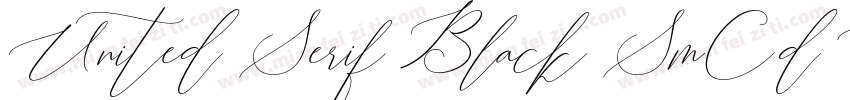 United Serif Black SmCd Regular字体转换
